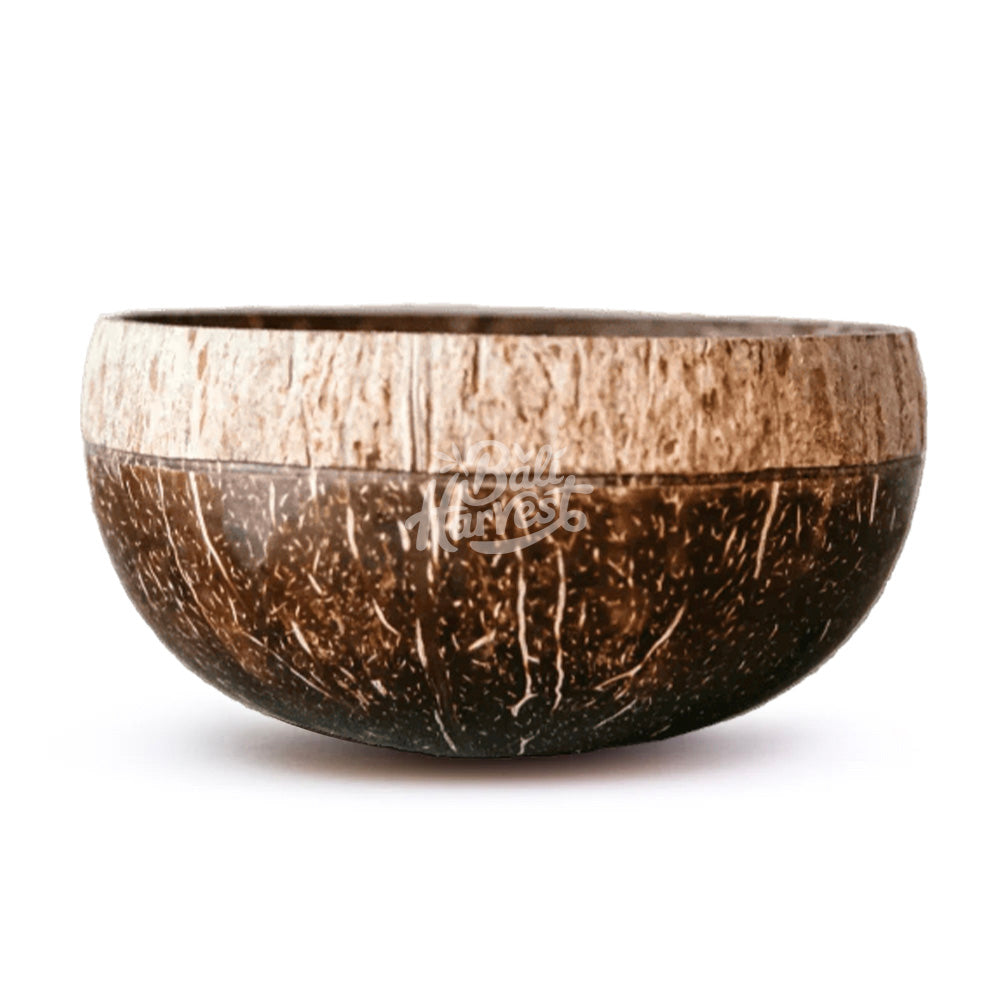 Coconut Shell Bowl (Shadow)