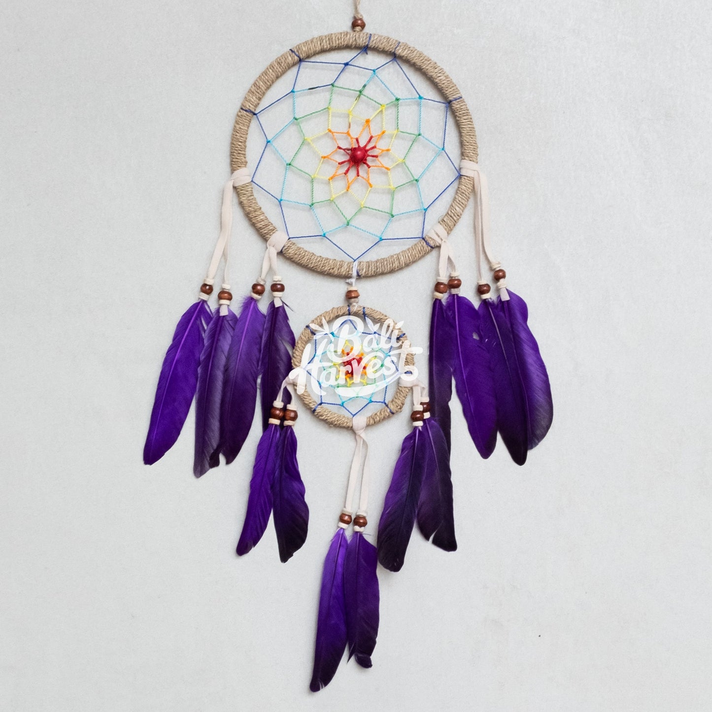 Wall Hanging Dreamcatcher (Webbing Purple)